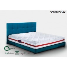 تشک ویستر مدل-دکتر ویستر