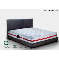 تشک ویستر مدل-دکتر ویستر ارتوپدیک